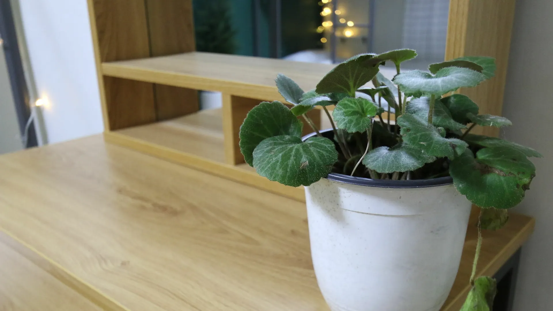 Hongdae Nanu Guesthouse Kpop Seoul Guest house